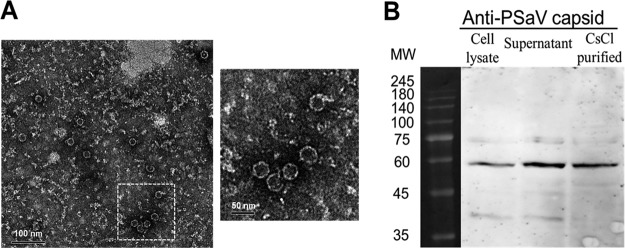 FIG 4