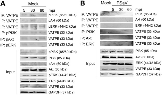 FIG 13