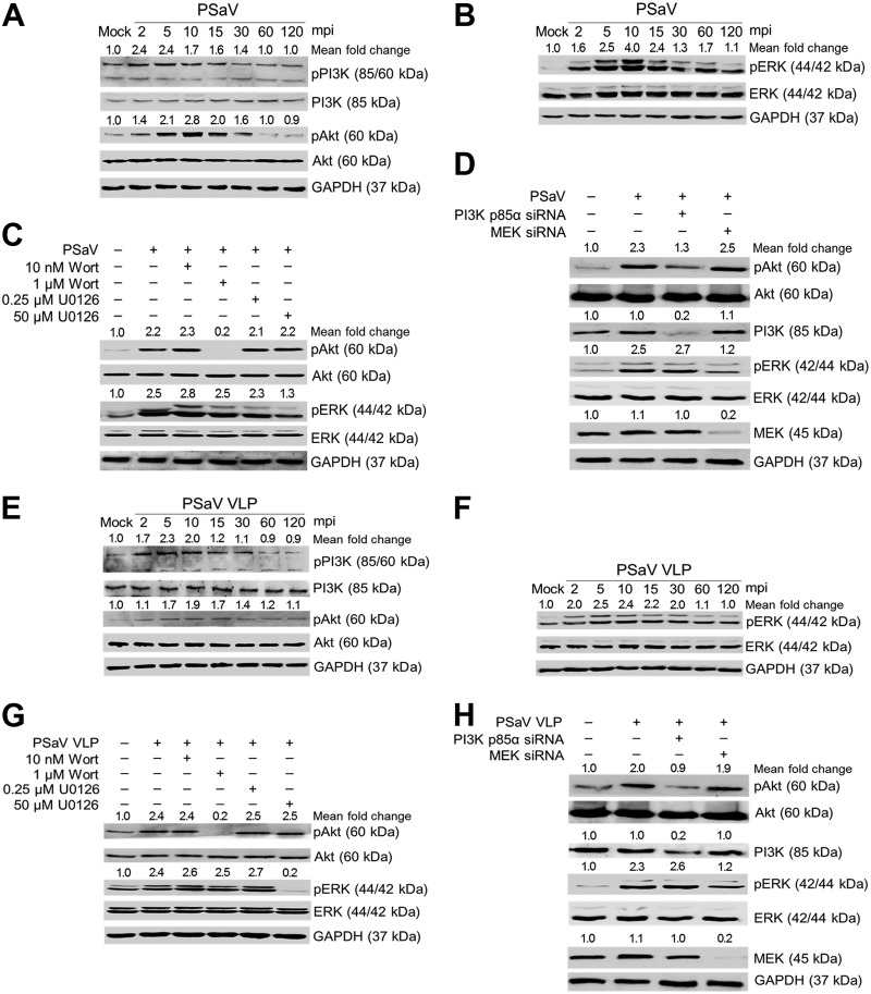 FIG 3