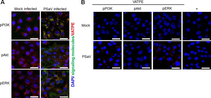 FIG 14