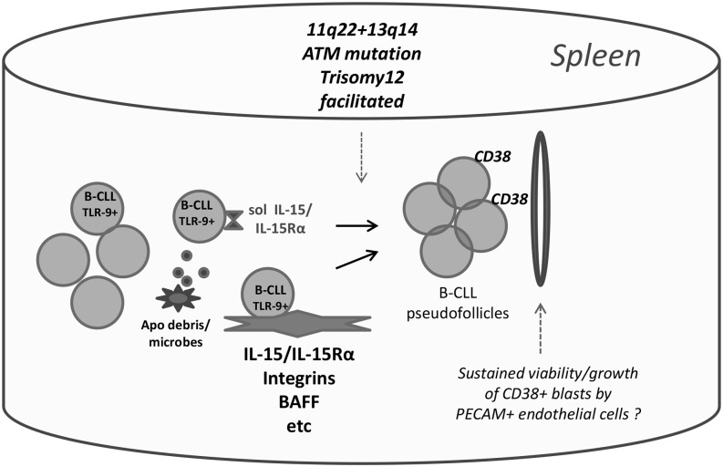 FIGURE 11.