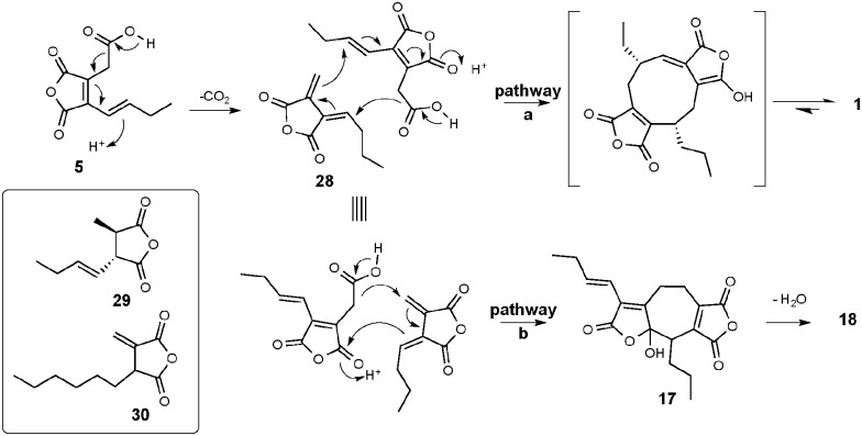 Scheme 2