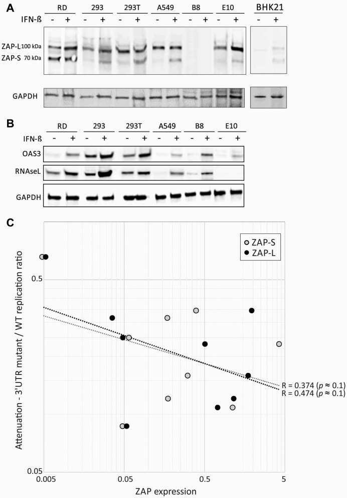 Figure 12.