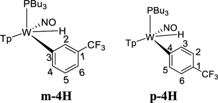 graphic file with name nihms-1655989-f0011.jpg