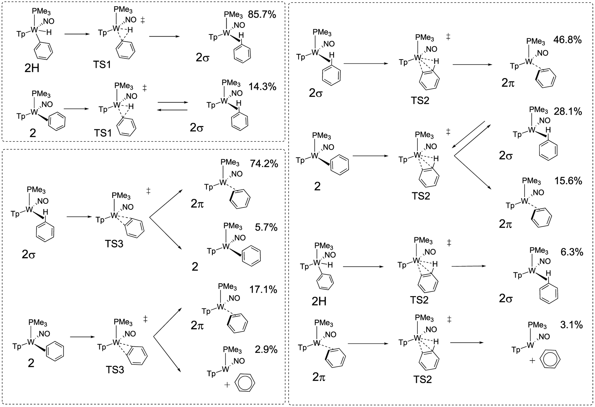 Scheme 4.