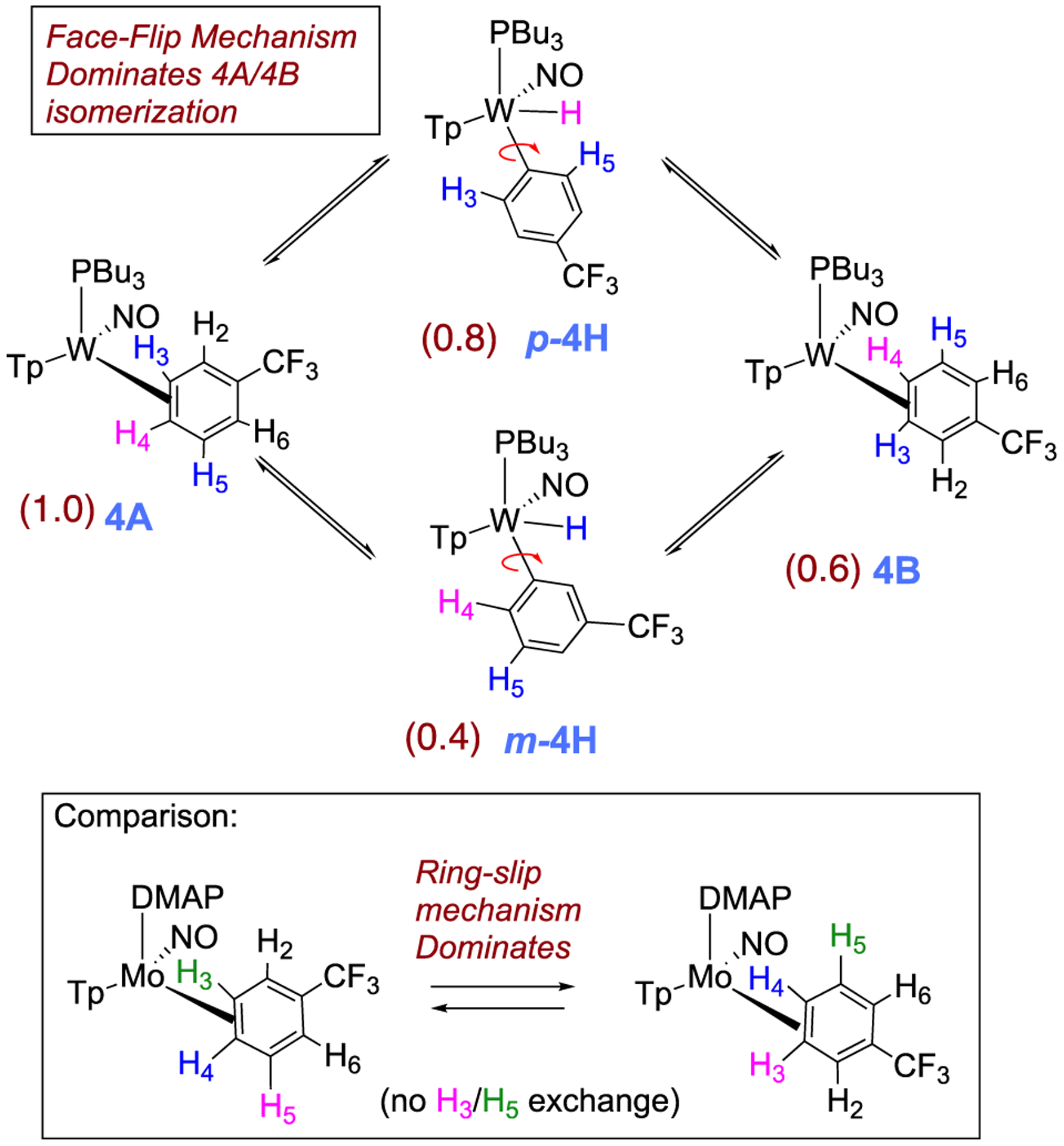 Scheme 6.