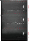 FIGURE 2
