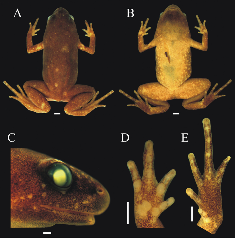 Figure 5.