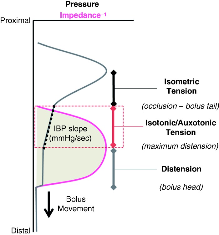 Figure 6.