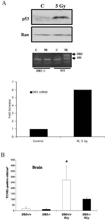 FIG. 9.