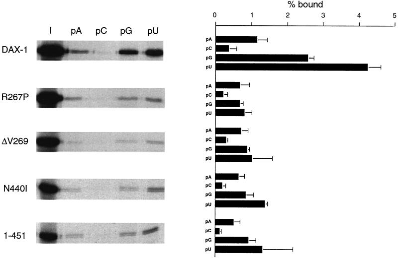 FIG. 6