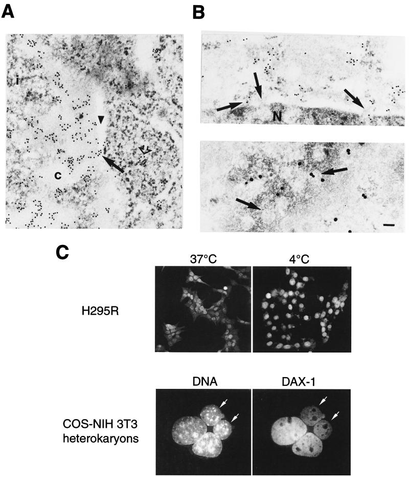 FIG. 7