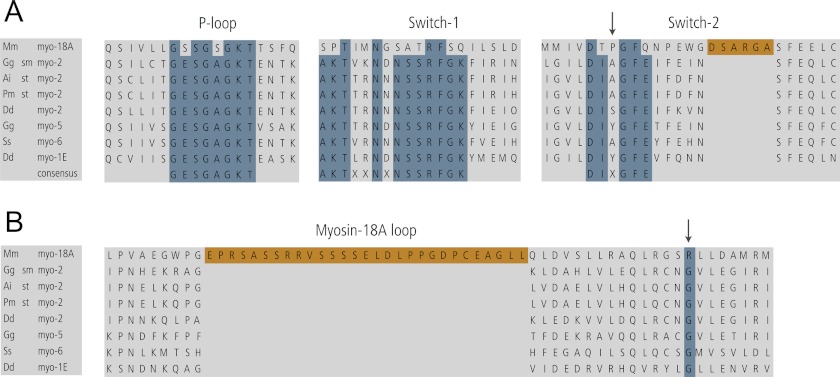 FIGURE 12.