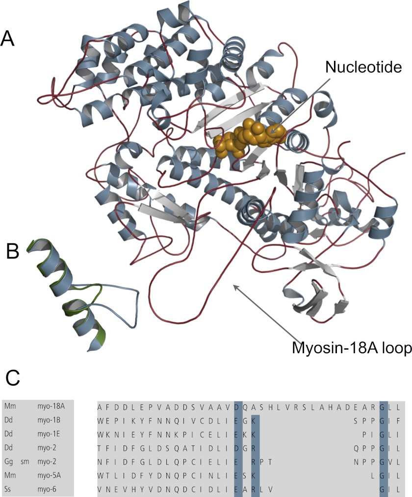 FIGURE 10.