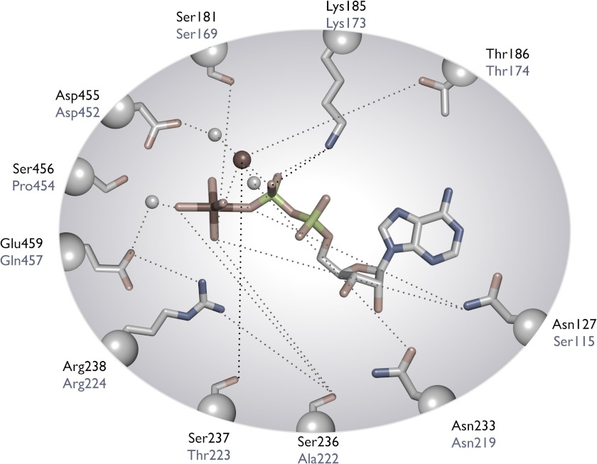 FIGURE 11.