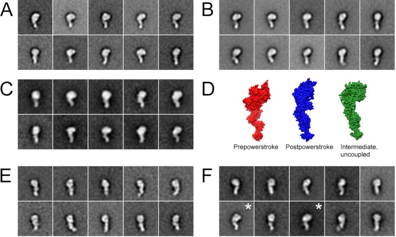 FIGURE 9.