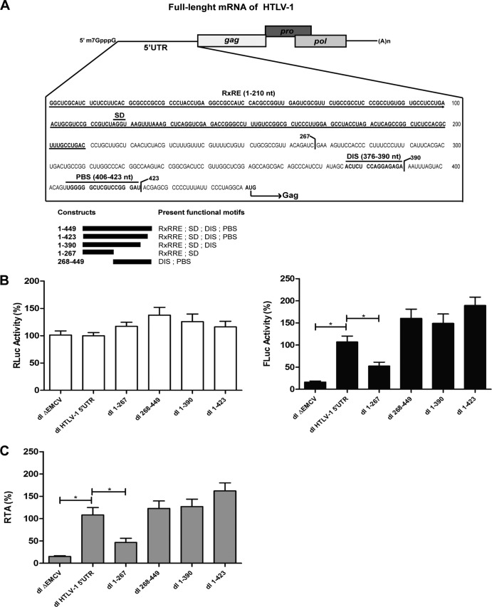 FIG 6