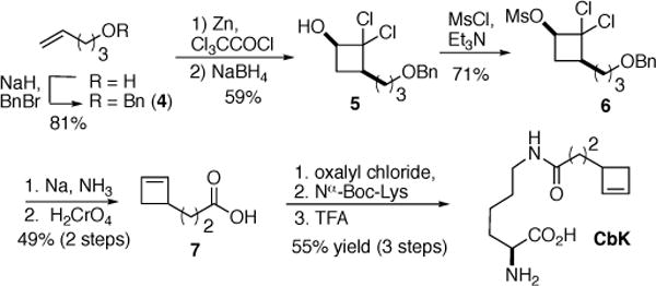 Scheme 2