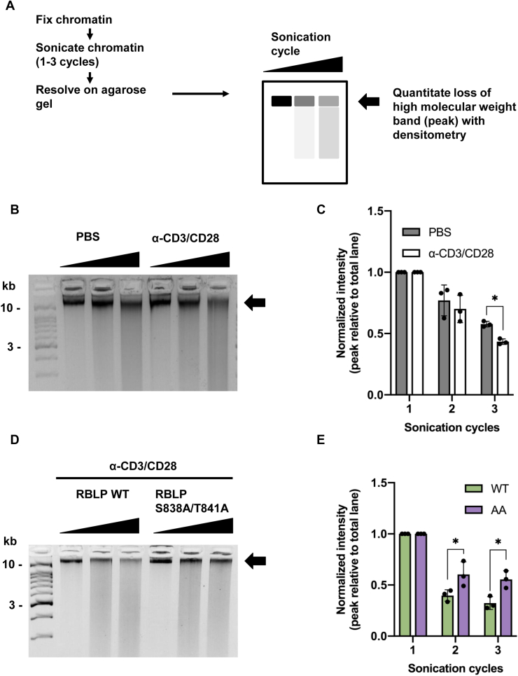 Figure 6