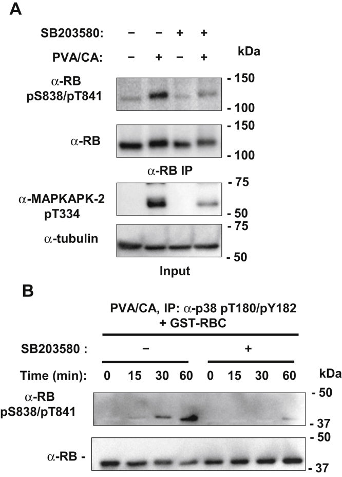 Figure 3