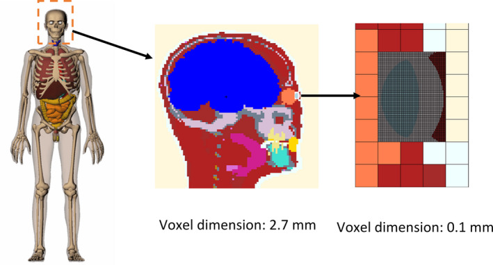 Figure 2