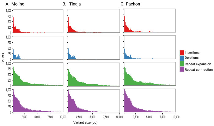 Figure 3.