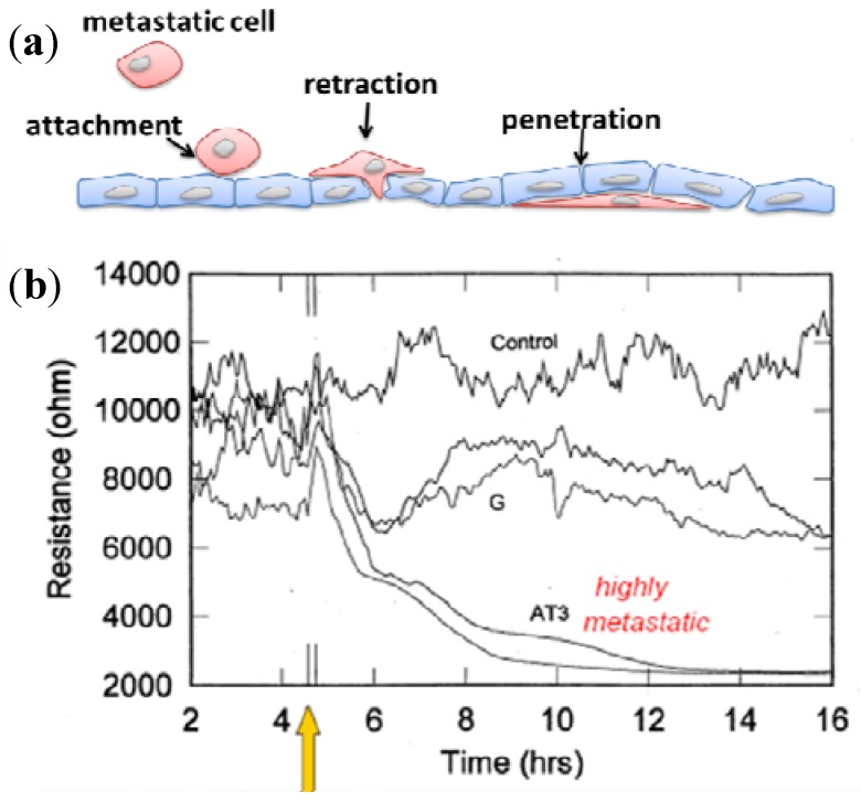 Figure 17