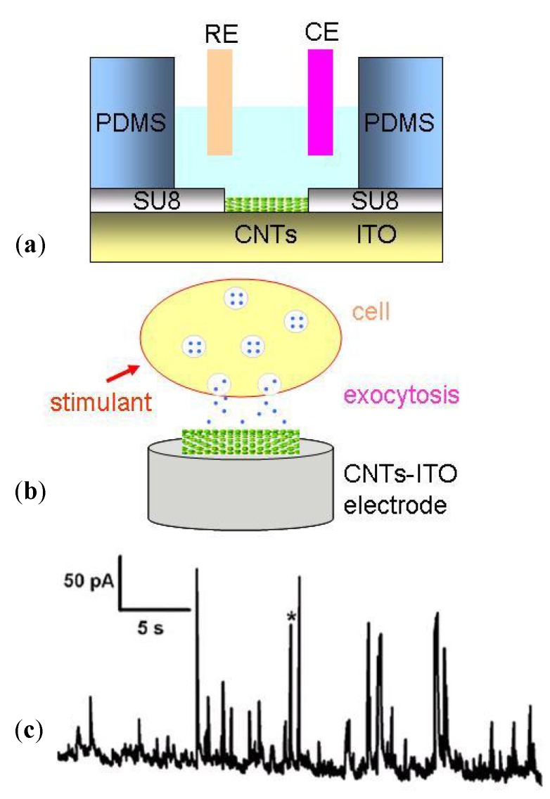 Figure 27