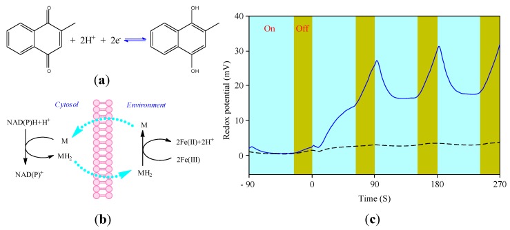 Figure 20