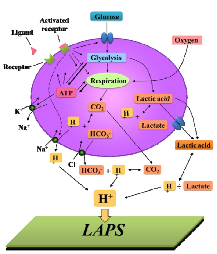 Figure 18