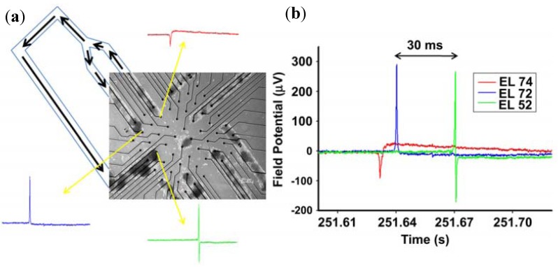 Figure 10