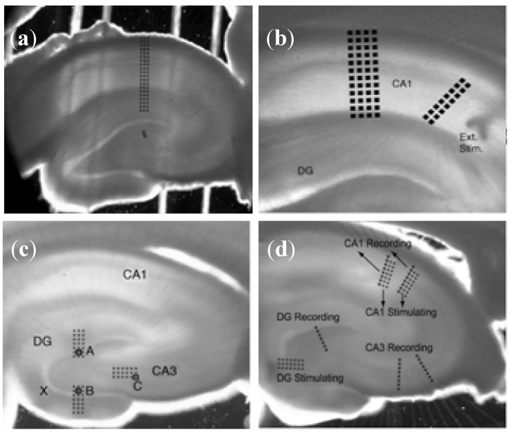 Figure 11