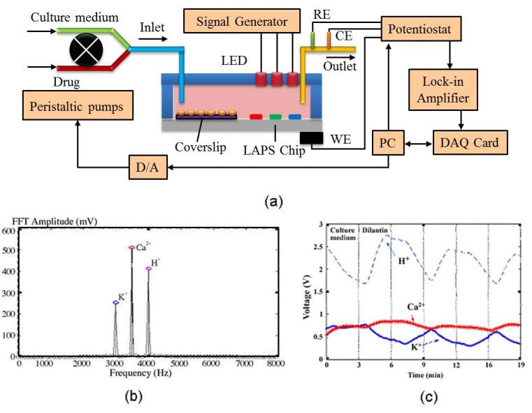 Figure 23