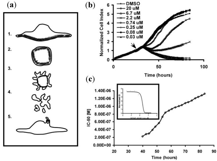 Figure 21