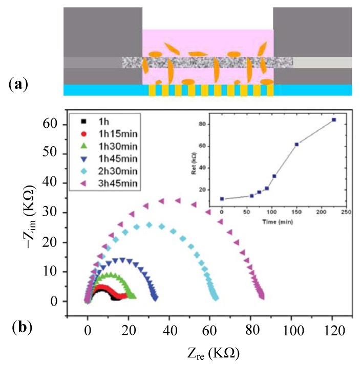 Figure 26