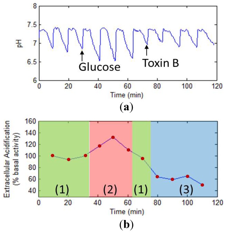 Figure 22