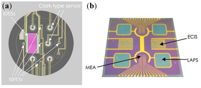 Figure 24