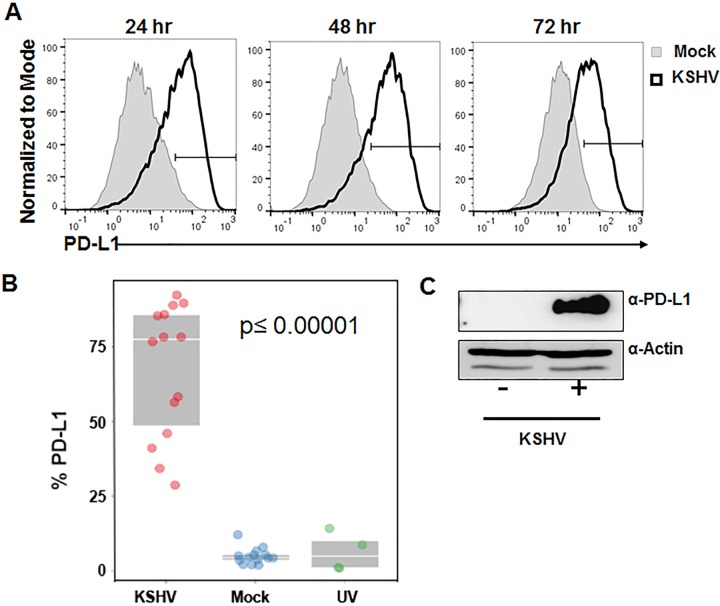 FIG 1 