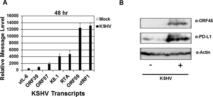 FIG 3 