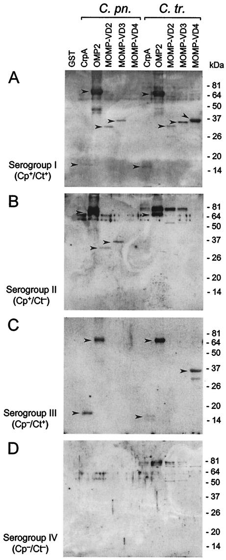 FIG. 3.