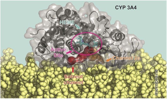 Fig. 9.