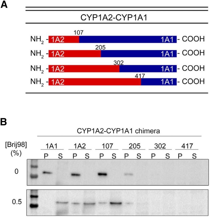 Fig. 16.