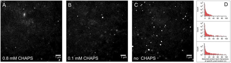 Fig. 12.