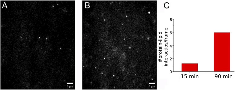 Fig. 13.