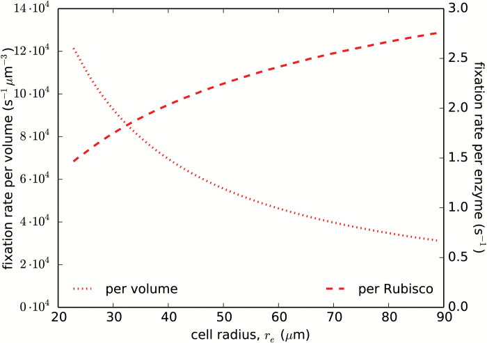 Fig. 9.