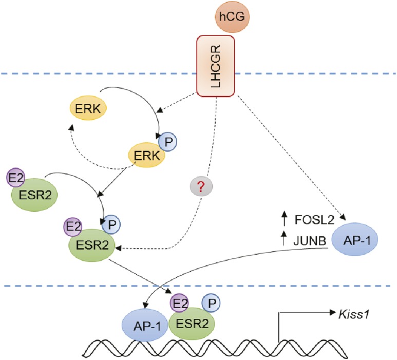 Figure 7.