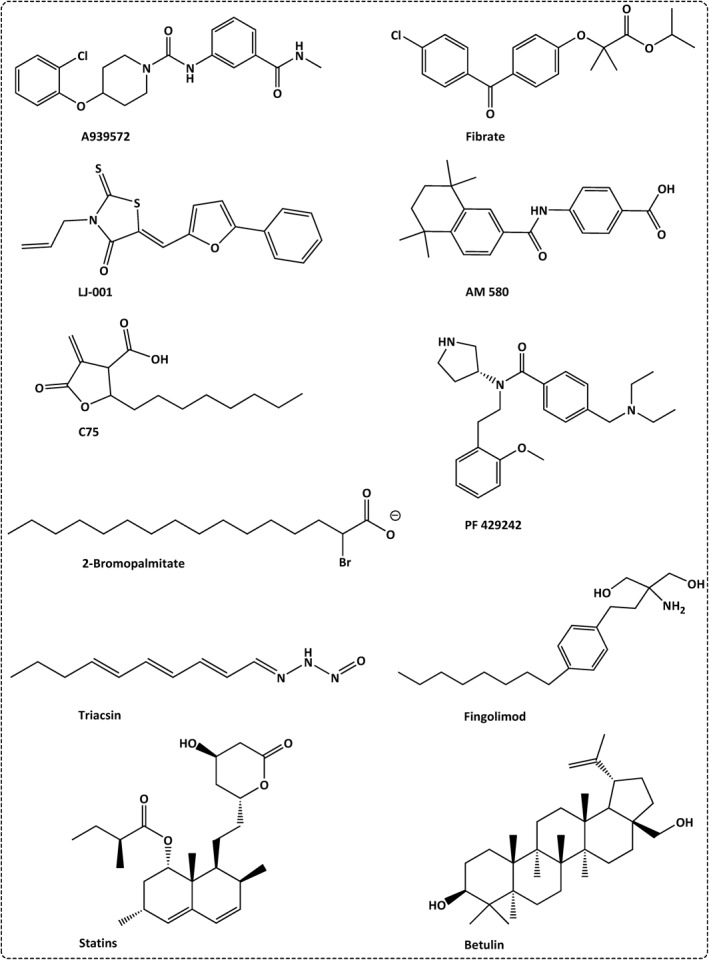 FIGURE 6