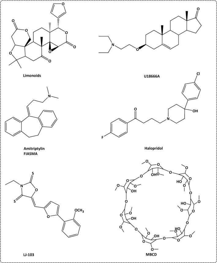 FIGURE 7