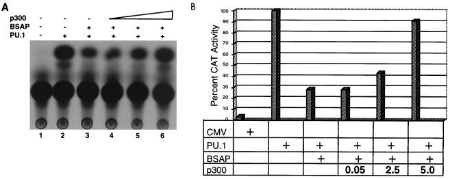 FIG. 7