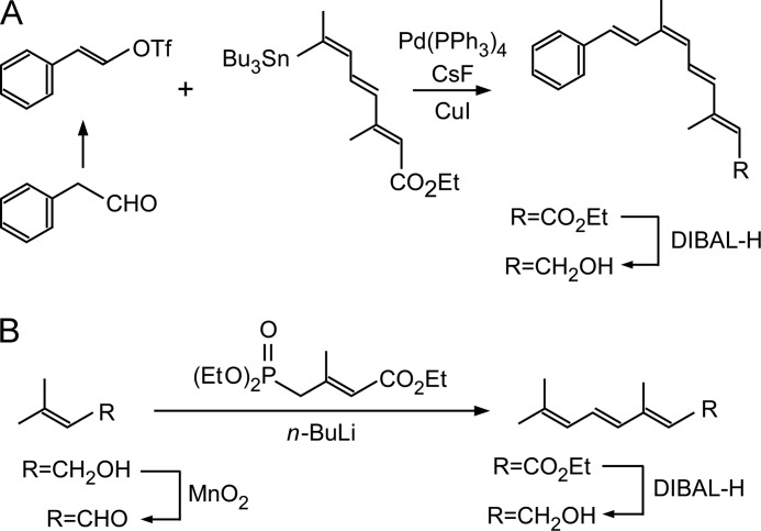 FIGURE 1.